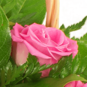 Men – How To Win Top Brownie Points From Your Girlfriends