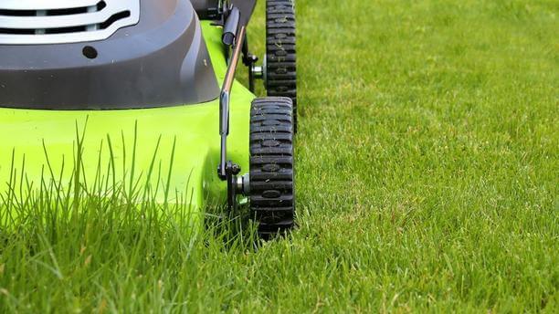 Top Tips to Keep Your Lawn Fresh and Beautiful