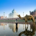Things you should definitely try in Agra