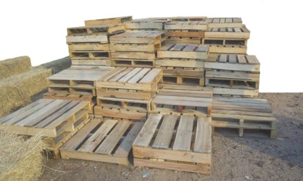 All You Should Know About Used Pallets