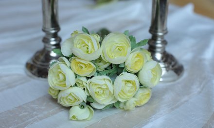 The Best Places for Wedding Registries