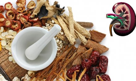 How to treat Kidney problem by Ayurvedic treatment?