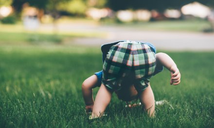 A Backyard Perfect for the Grandchildren