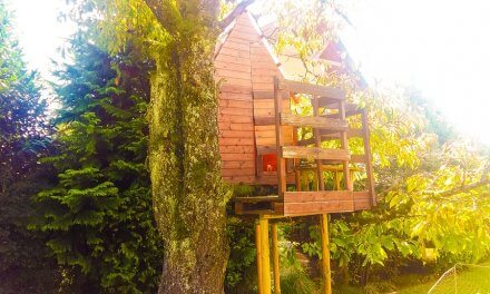 4 Ways to Make the Best Treehouse for Your Family