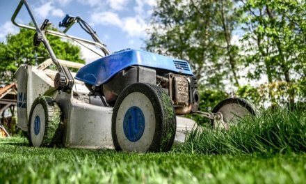 Tips on Choosing the Best Kind of Ride on Lawn Mowers