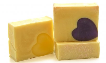 Top 10 Best Reasons I Love Cheese