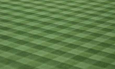 How To Stripe Your Lawn Grass Like A Professional