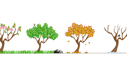 How to Prepare Your House for Any Natural Element Threats in all Four Seasons