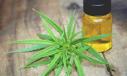 How CBD Is Changing Lives With Its Medicinal Benefits
