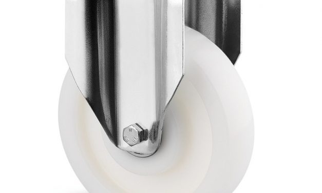 Six Essential Things to Consider Before Choosing a Castor