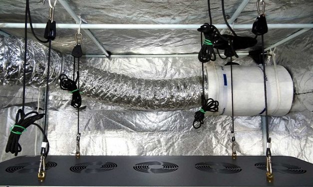 How to Set Up a Grow Tent: Perfect Guide for Beginners