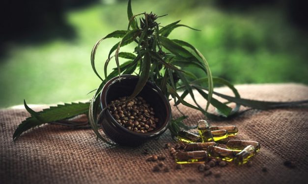 The Essential Facts You Should Know about CBD and Depression: The Potential Benefits