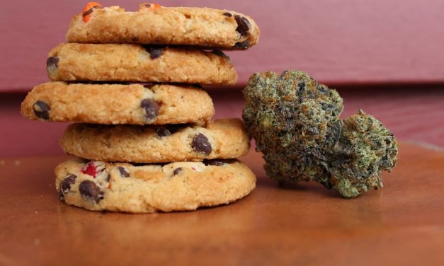 How Different is Smoking Joints Compared to Eating Edibles?