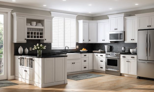 Why Home Makers Prefer The Branded Blenders In Their Kitchen?