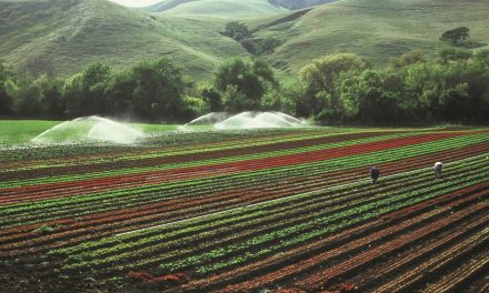 Grow Your Greens Better With Suitable Selection of Irrigation Pumps!