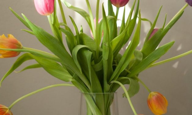 Life Beautiful Flower Trees for Your Garden