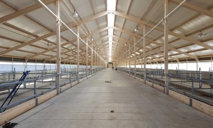 Here Are Some Benefits Of The Rural Sheds