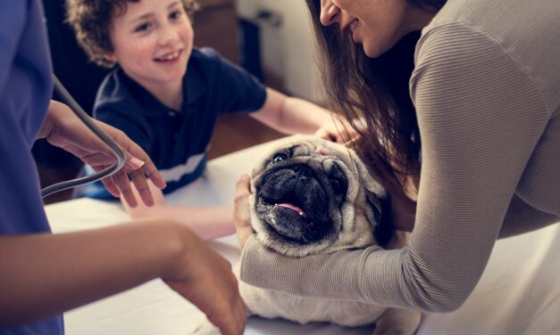 Filling the Empty Nest with a Pet