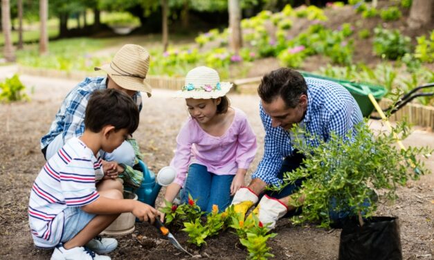 How to Start and Maintain Your Own Family Garden