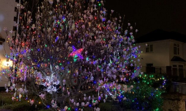 10 COVID Christmas Ornaments To Give Or Display During The Holidays