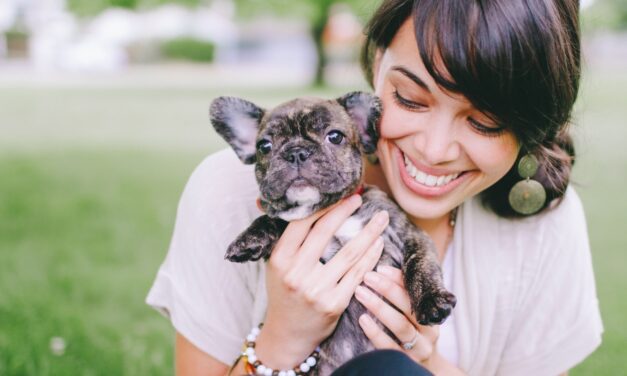 5 Major Things to Consider When You Get a Pet