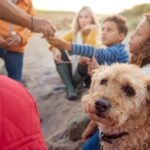 How to Deal with the Loss of a Pet in Your Family