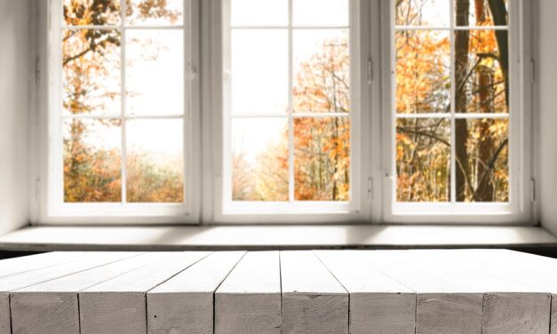 Why Timber Windows are Better Than Others