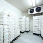 Best Helpful Tips for Proper Maintenance of Cool Rooms!