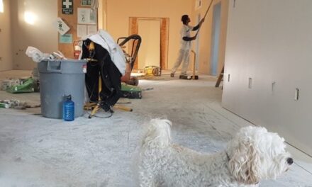 Top 5 FAQs about Lead in your Home!