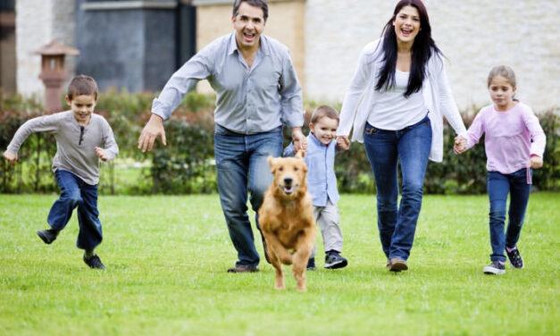 Some Ways of Creating Good Behaviour As You Bring Home a New Dog