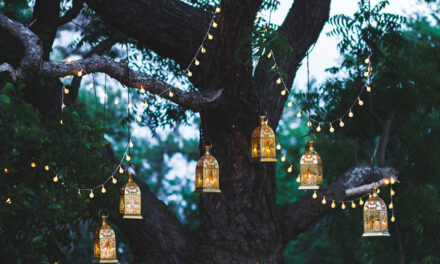 Choose the Right Wedding Supplies for Your Special Day