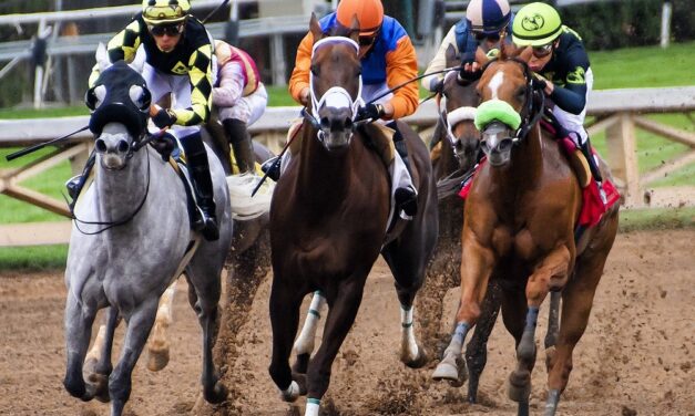 Horse Racing Tips: What you need to know?