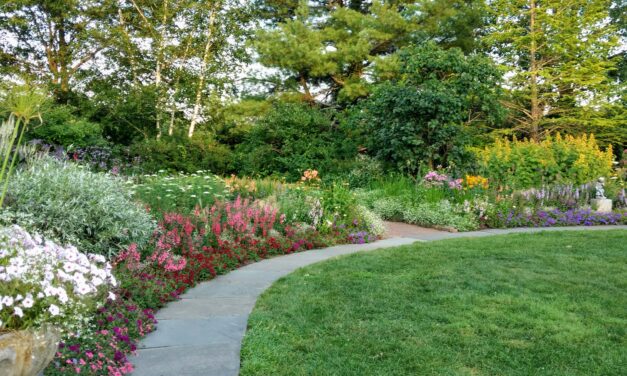 The Best Hardscape Elements to Use With a Grass Lawn