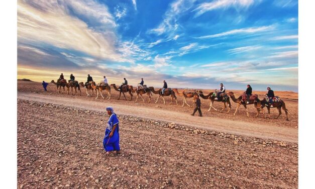 Top 10 best things to do in Marrakech, Morocco