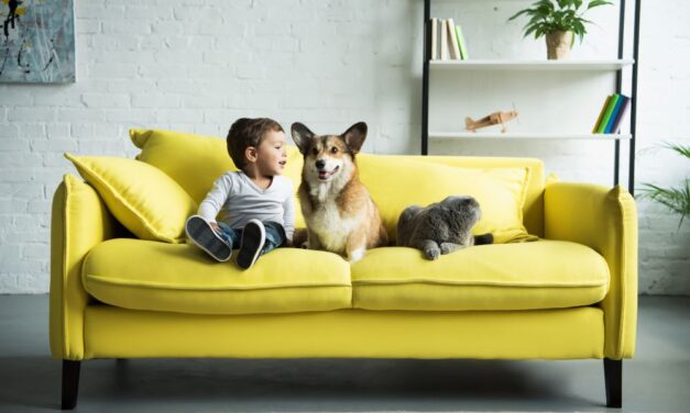 5 Things Every Pet Parent Needs to Have ASAP