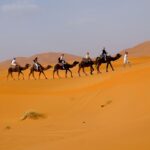 Top 7 places where to spend your honeymoon in Morocco