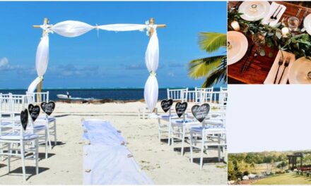 Things You Need To Know When Choosing For A Wedding Theme