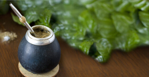 Organic Yerba Mate: Your Ultimate Beverage