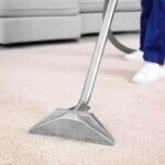 Why Should I Hire Professional Carpet Cleaners?