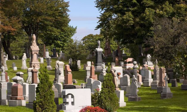 Book the best Night cemetery tours