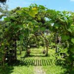 Gardening in the Autumn: Preparing For Colder Weather