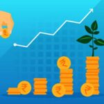 Do you know SBI Bluechip Fund’s investment strategy?