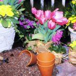 Indulge In Online Flower Plant Shopping Experience